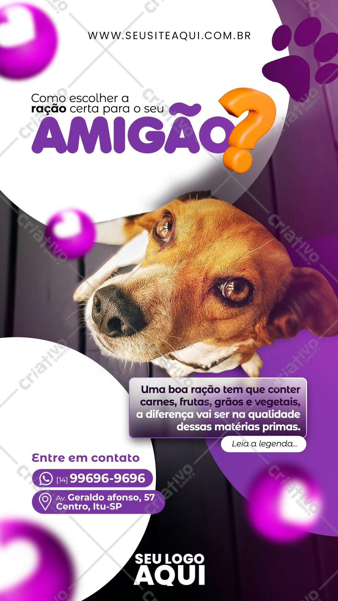 Post para Redes Sociais sobre Ração para Cachorros PSD Editável