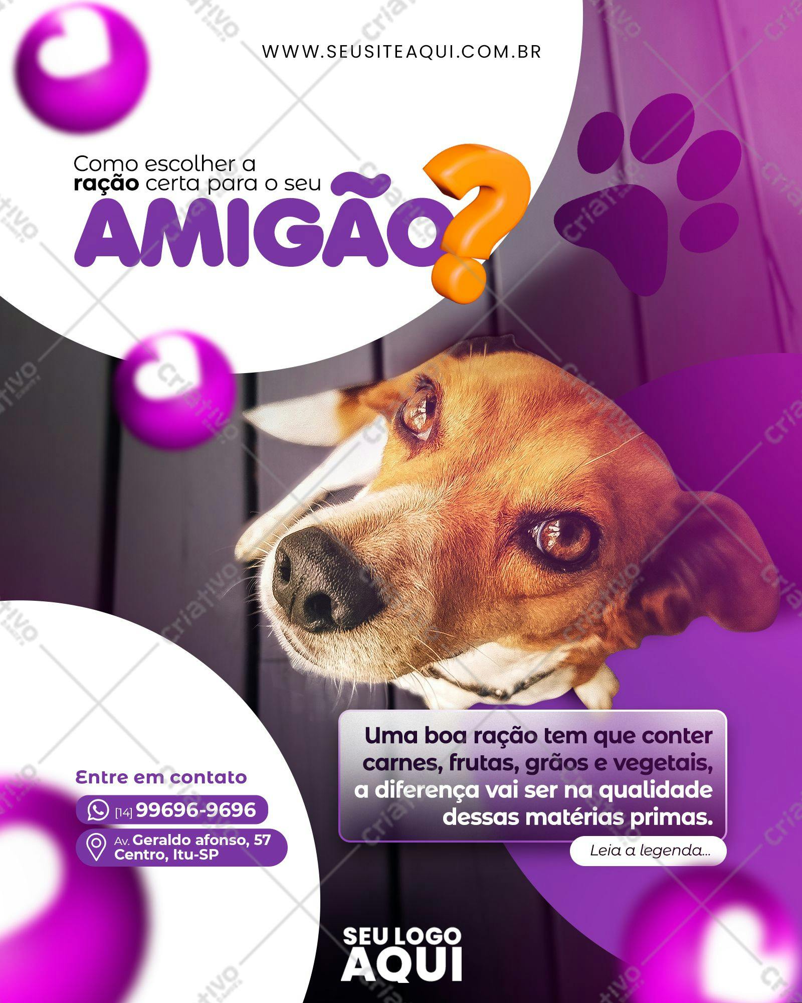 Post para Redes Sociais Sobre Ração para Cães PSD Editável