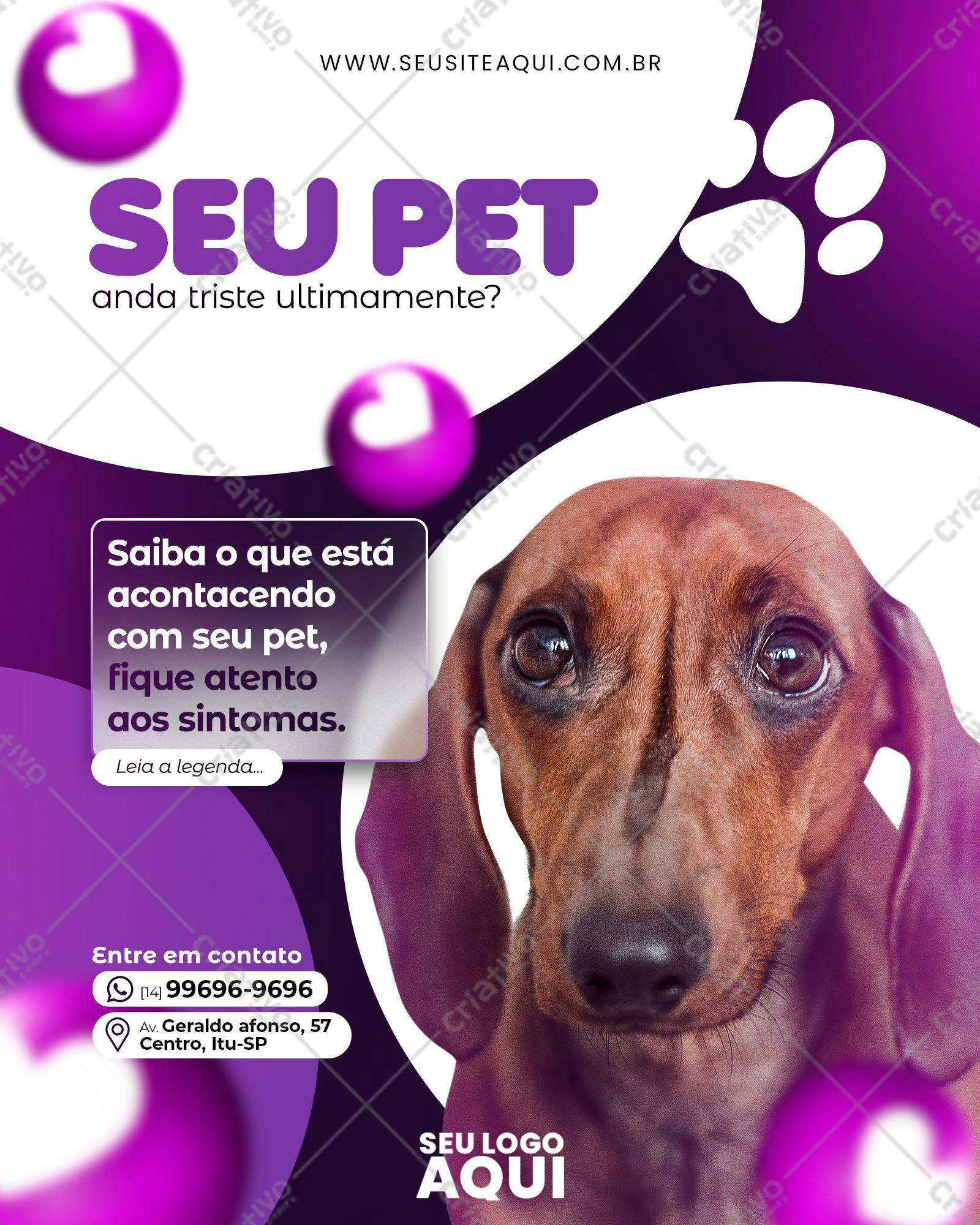Flyer para Veterinária PSD Editável