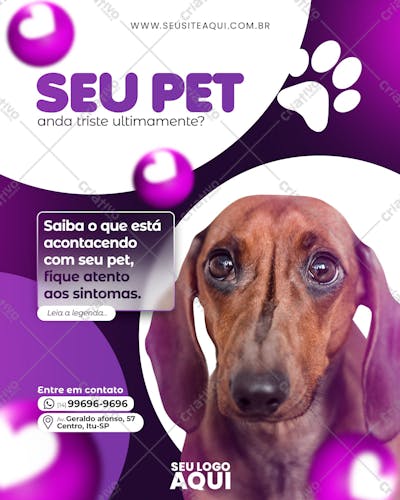 Feed  Pet Shop  Clinica Veterinária