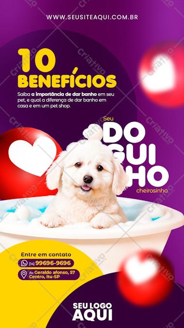 Story pet shop clinica veterinária