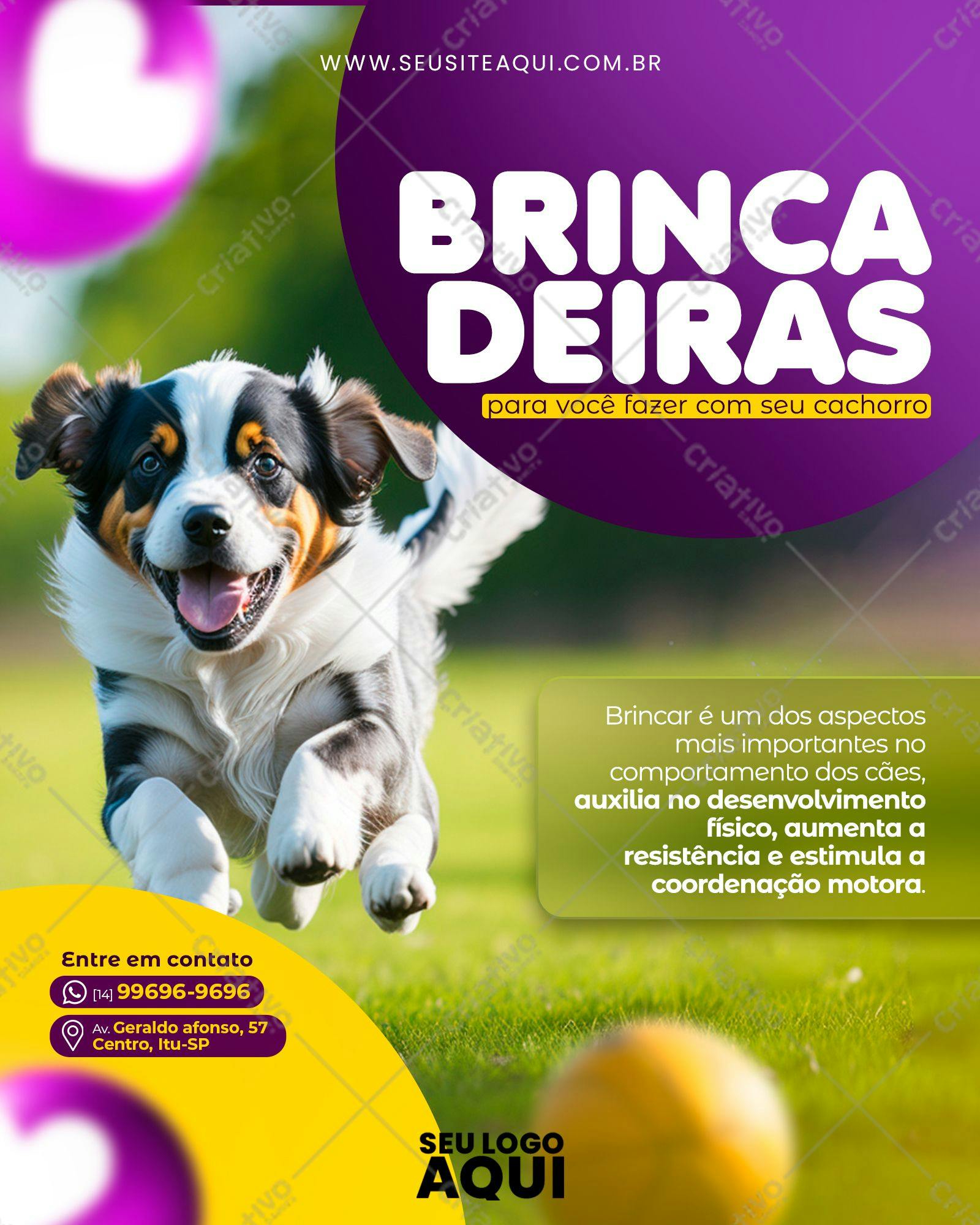 Post para Redes Sociais Brincadeiras com Cães PSD Editável