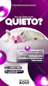 Story pet shop clinica veterinária