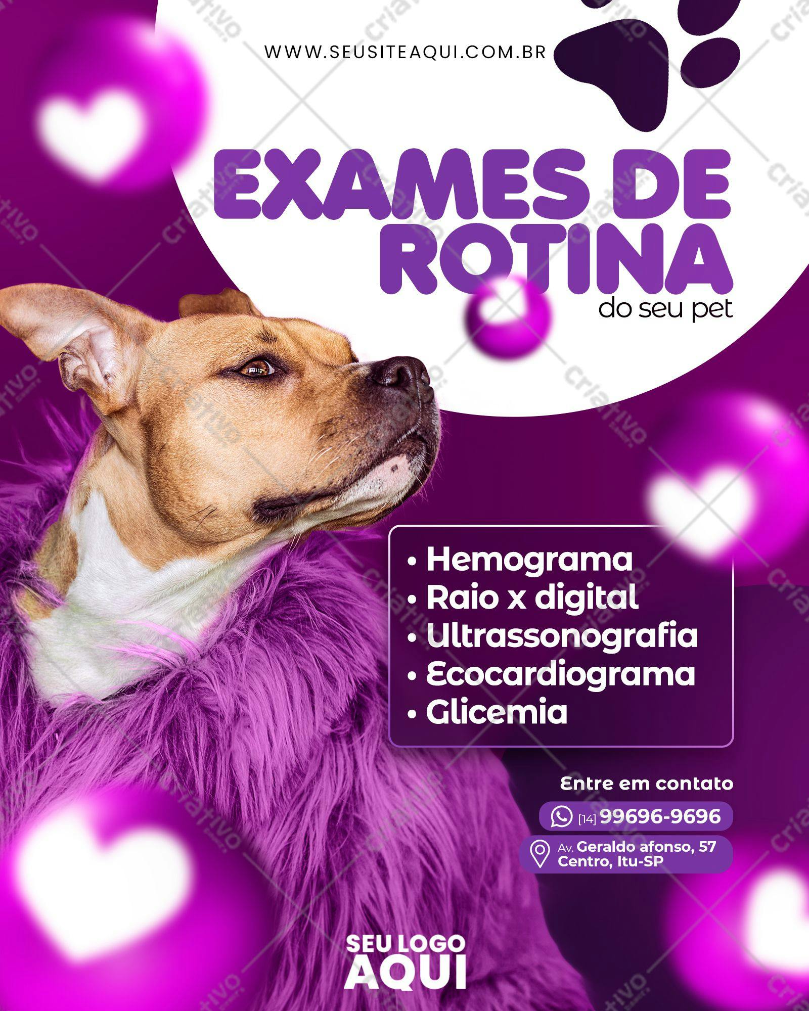 Flyer para Veterinária Exames de Rotina Pet PSD Editável