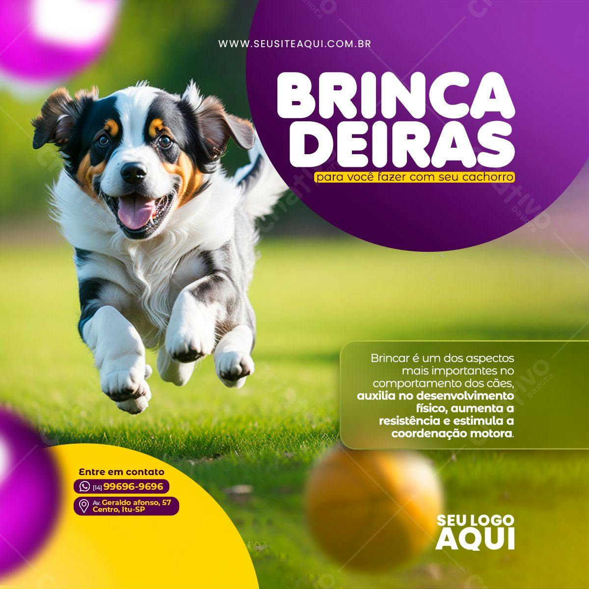 Post para Redes Sociais Brincadeiras com Cães PSD Editável