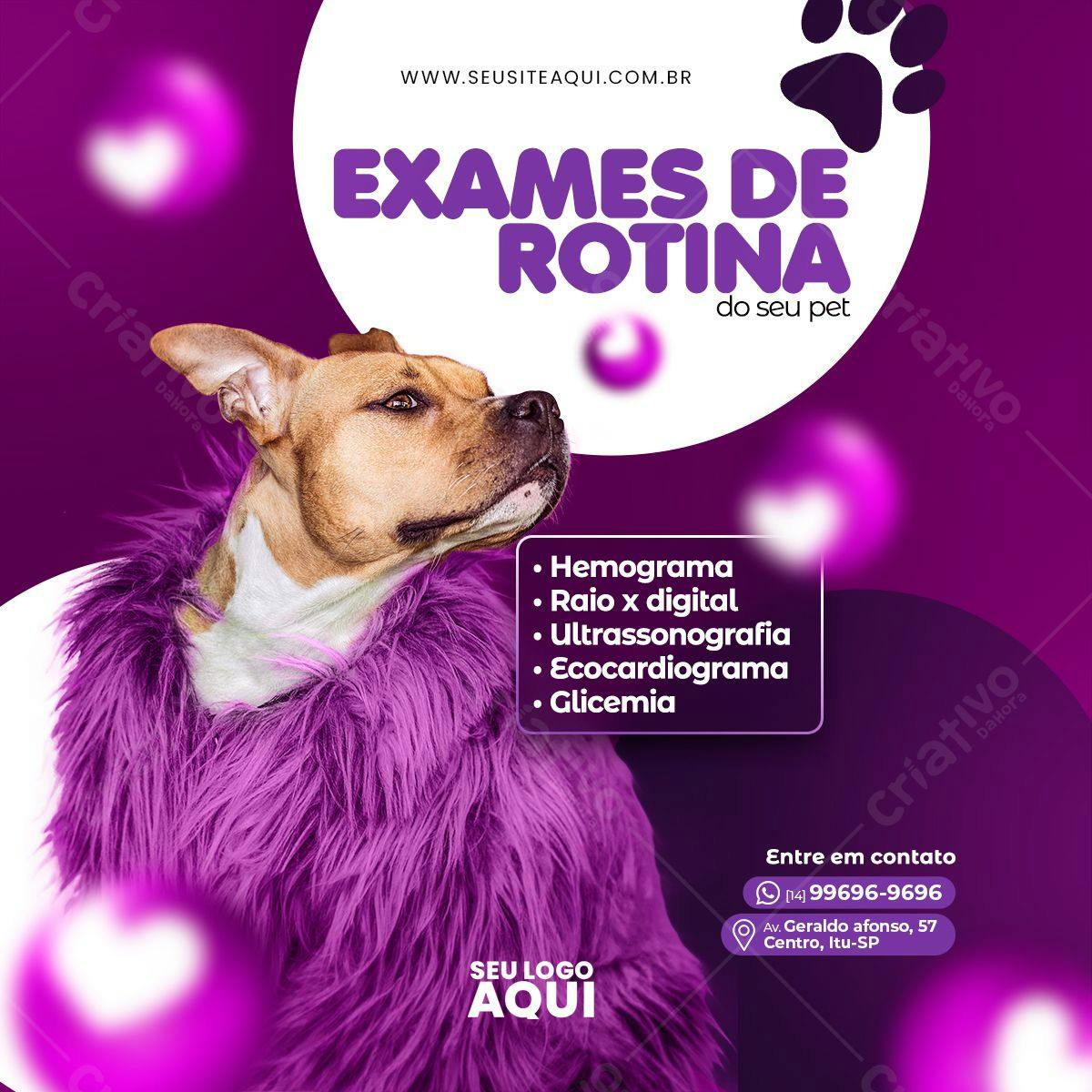 Post para Redes Sociais Veterinária PSD Editável