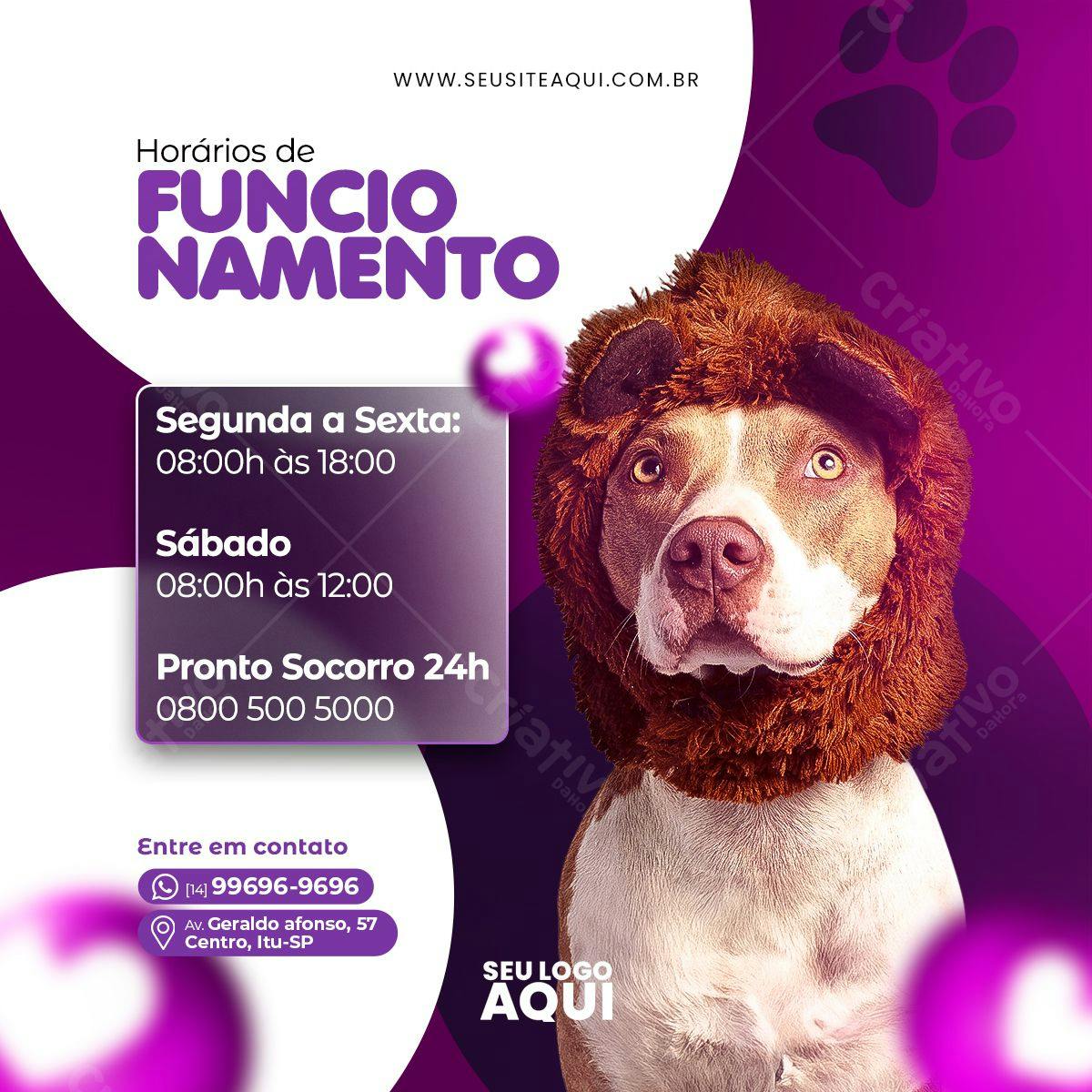Post para Redes Sociais Veterinária PSD Editável