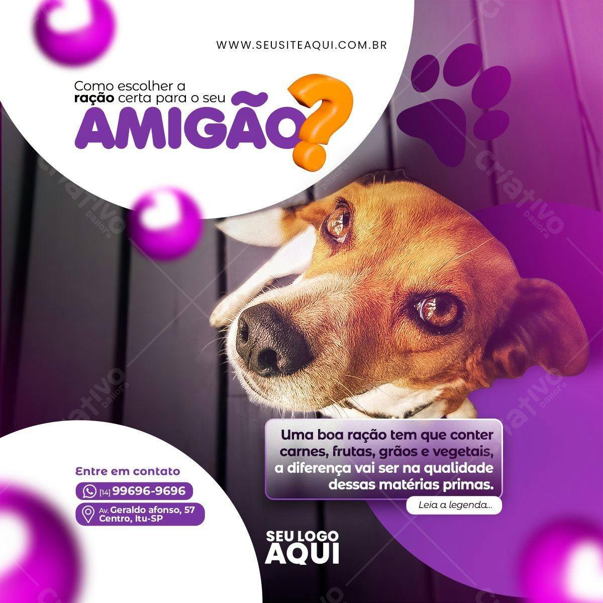 Post para Redes Sociais sobre Ração para Cães PSD Editável