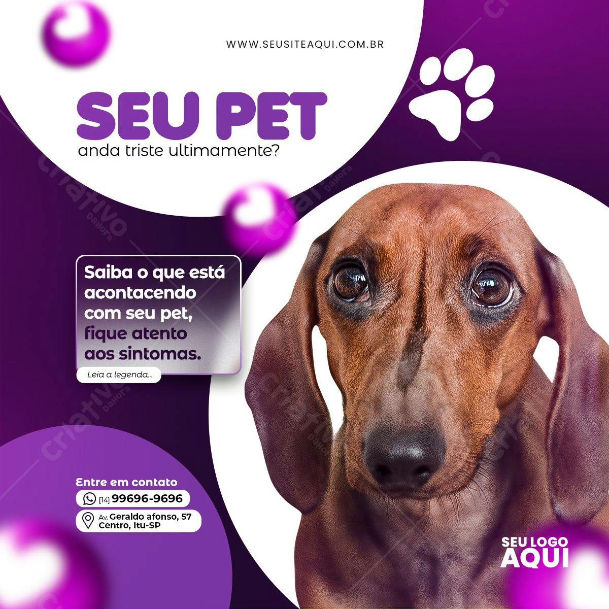 Banner para Veterinária PSD Editável