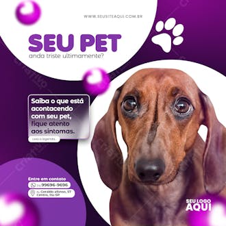 Post feed pet shop clinica veterinária