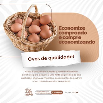 Feed dia mundial do ovo ovos de qualidade
