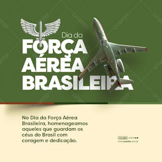 Feed dia da força aérea brasileira coragem e dedicação