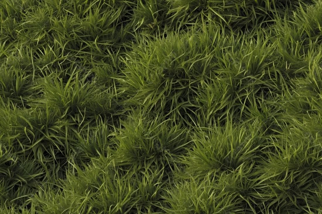 Textura Grama Verde para Fundo de Jogo