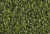 Textura de grama verde
