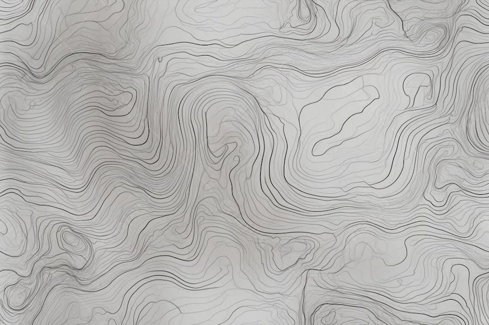 Mapa Topográfico Topografia Com Linhas De Contorno  Geográficas Com Overlay