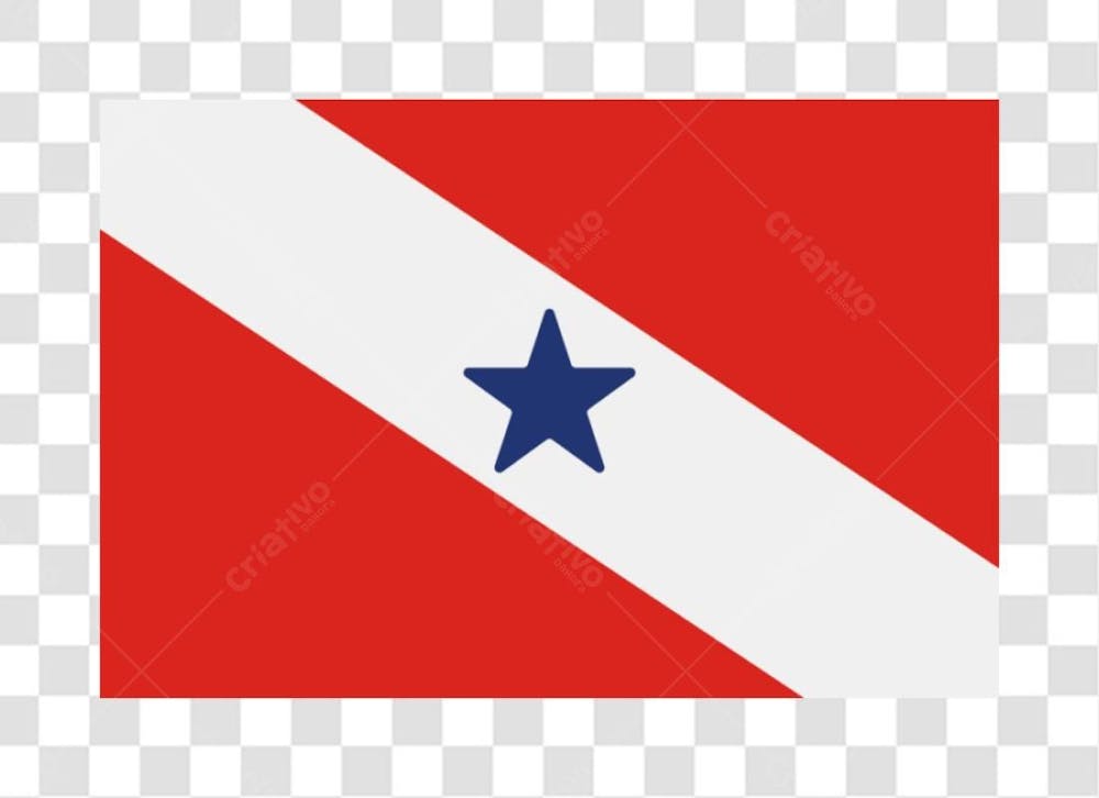 Bandeira Do Pará