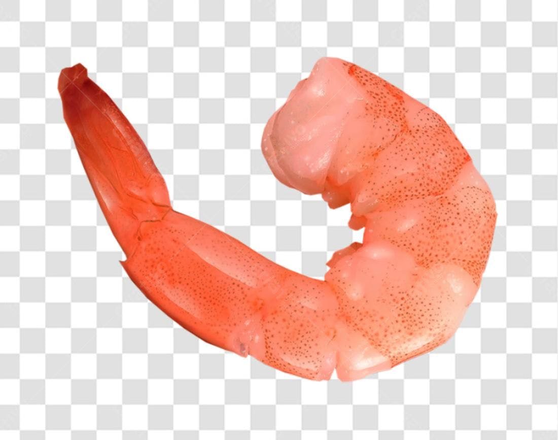 Icone Camarão PNG com fundo transparente