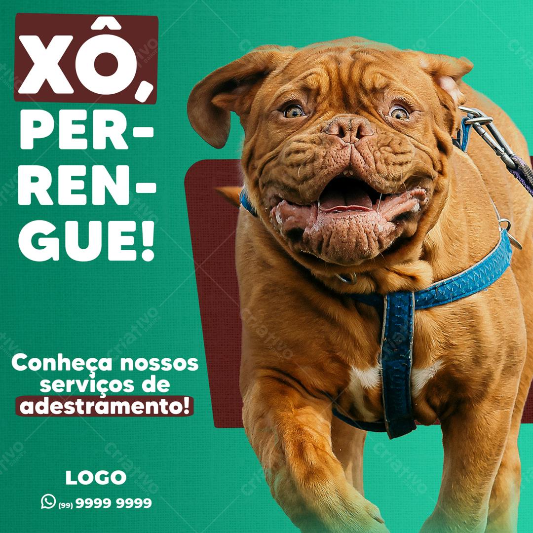 Flyer para Adestramento Canino PSD Editável
