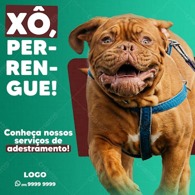 Petshop Social Media Xô Perrengue