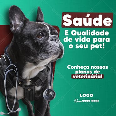 Saúde E Qualidade De Vida Para Seu Pet