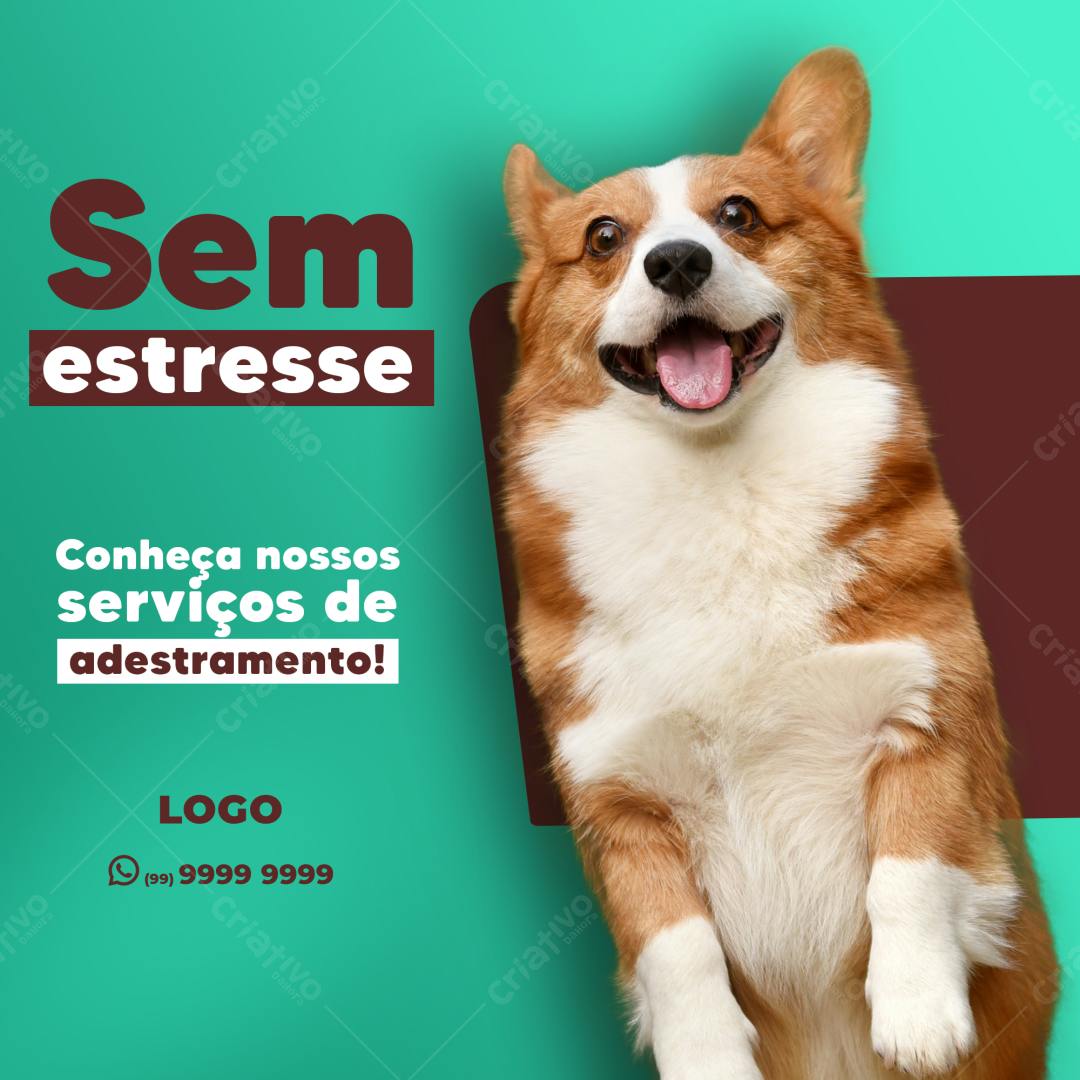Postagem Instagram Adestramento de Cães PSD Editável