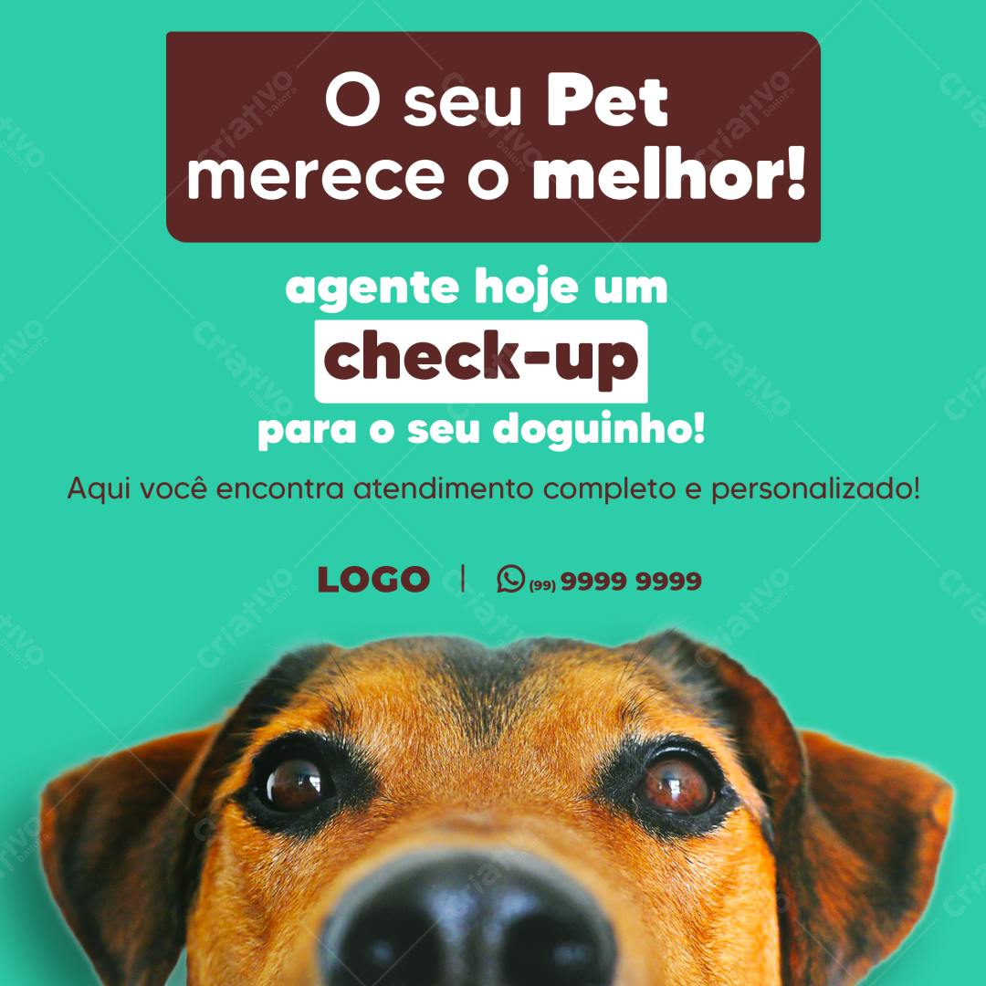 Flyer Veterinário para Check-up de Pets PSD Editável