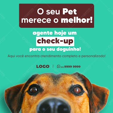 Petshop social media