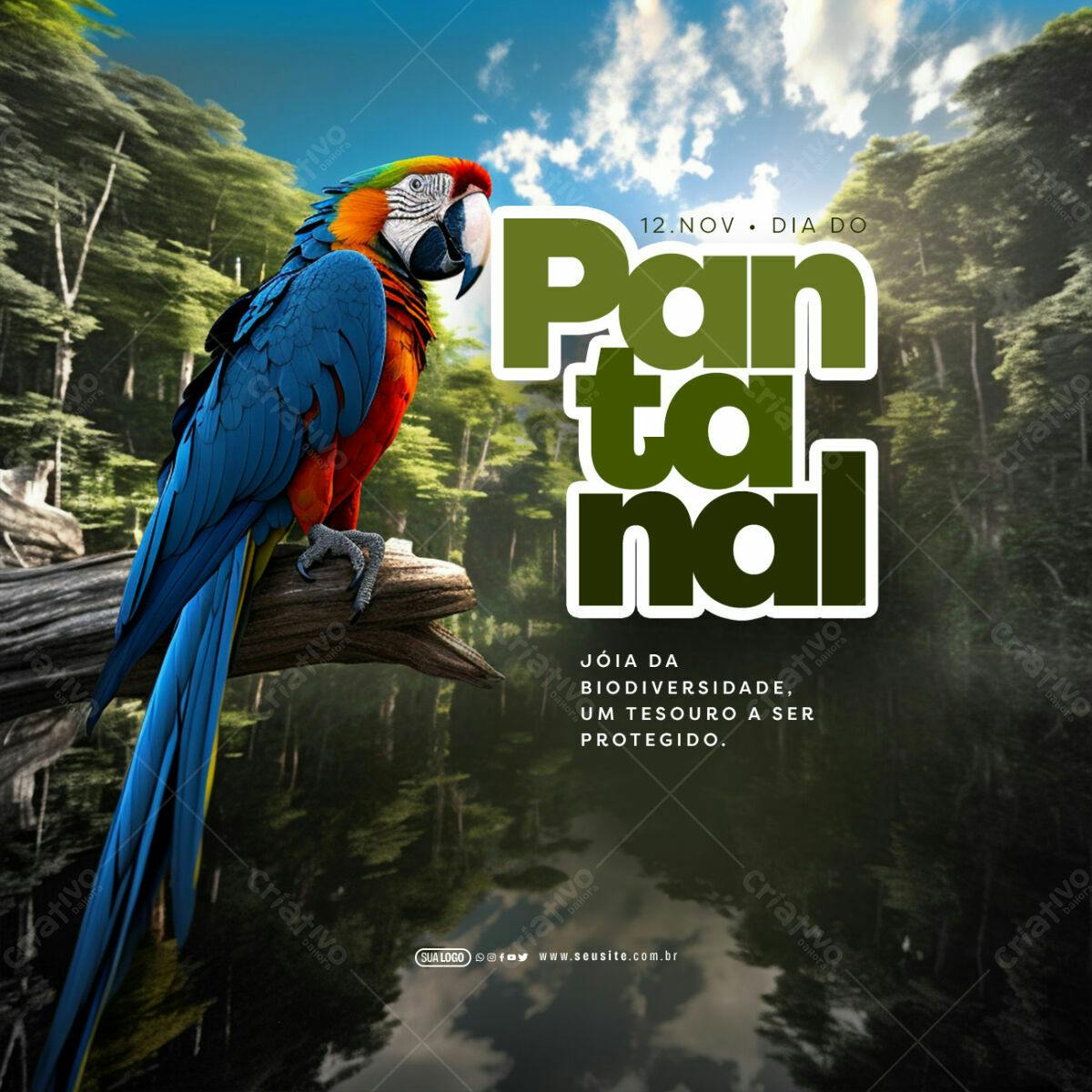 Flyer Dia do Pantanal PSD Editável