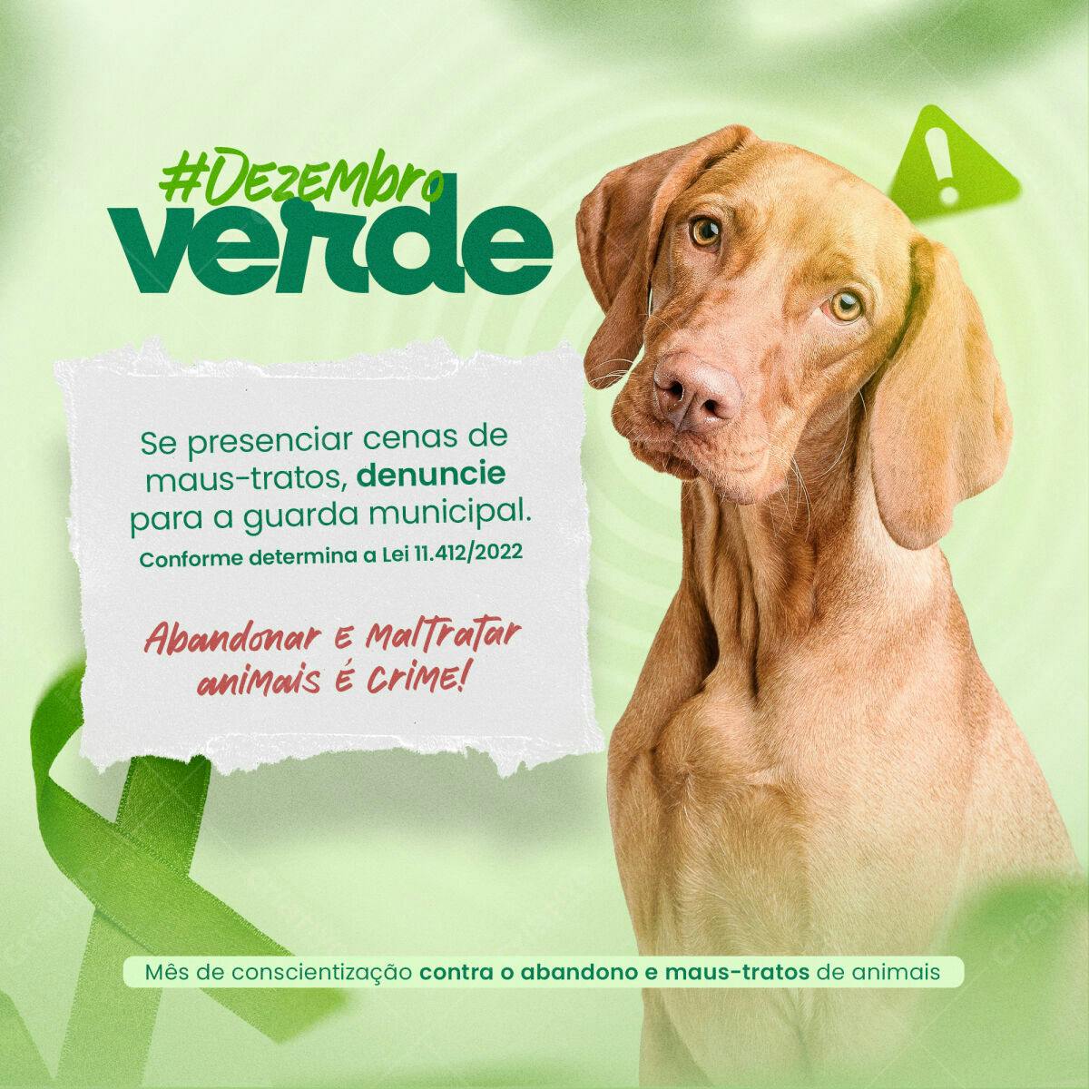 Postagem Dezembro Verde PSD Editável
