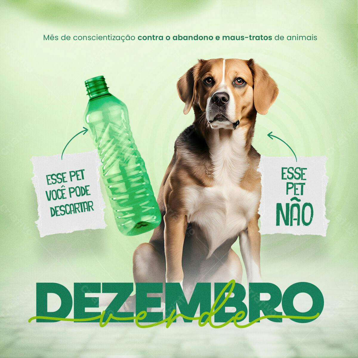 Flyer Dezembro - Conscientização Contra Maus-Tratos Animais PSD Editável