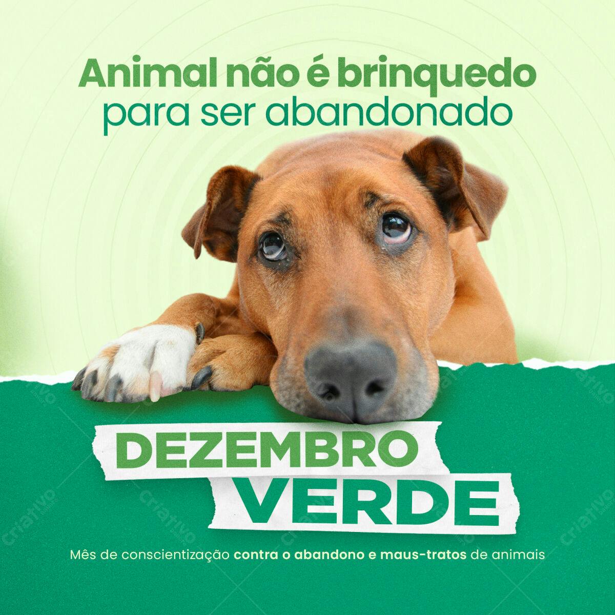 Post para Dezembro Verde PSD Editável