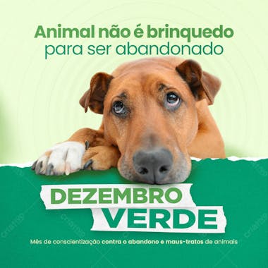 Dezembro verde 7