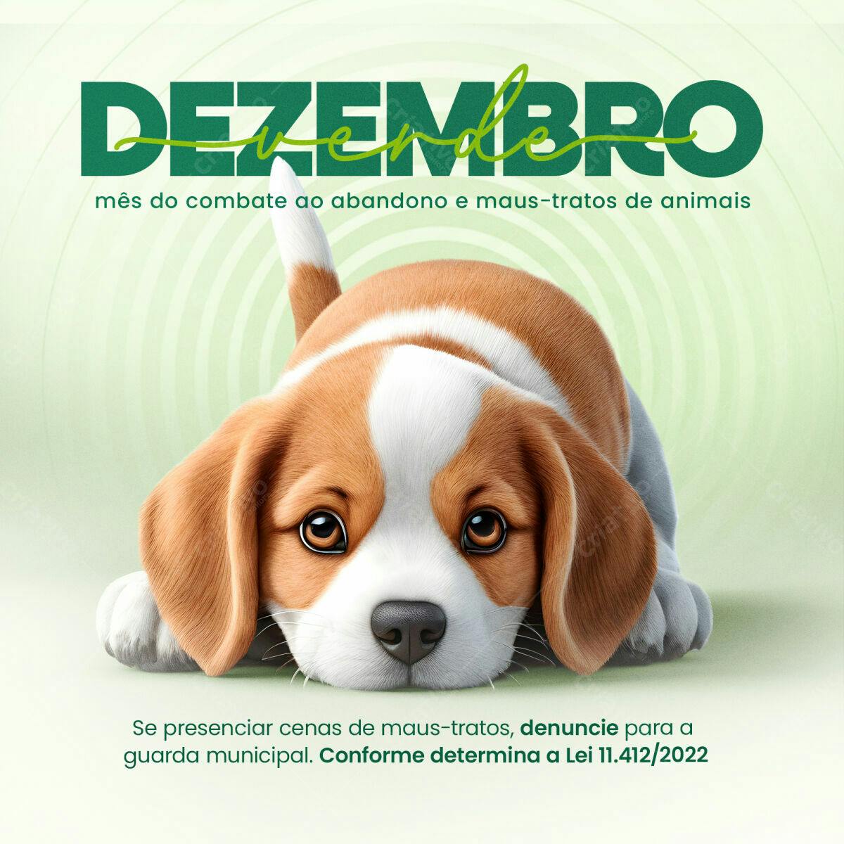 Flyer Dezembro - Mês do Combate ao Abandono Animal PSD Editável