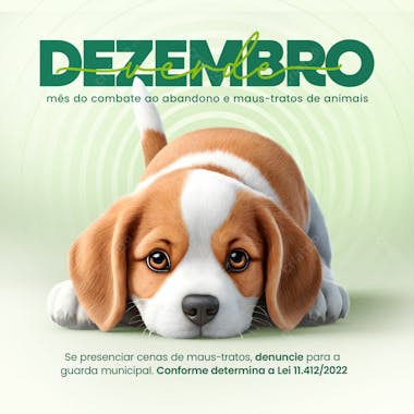 Dezembro verde 10