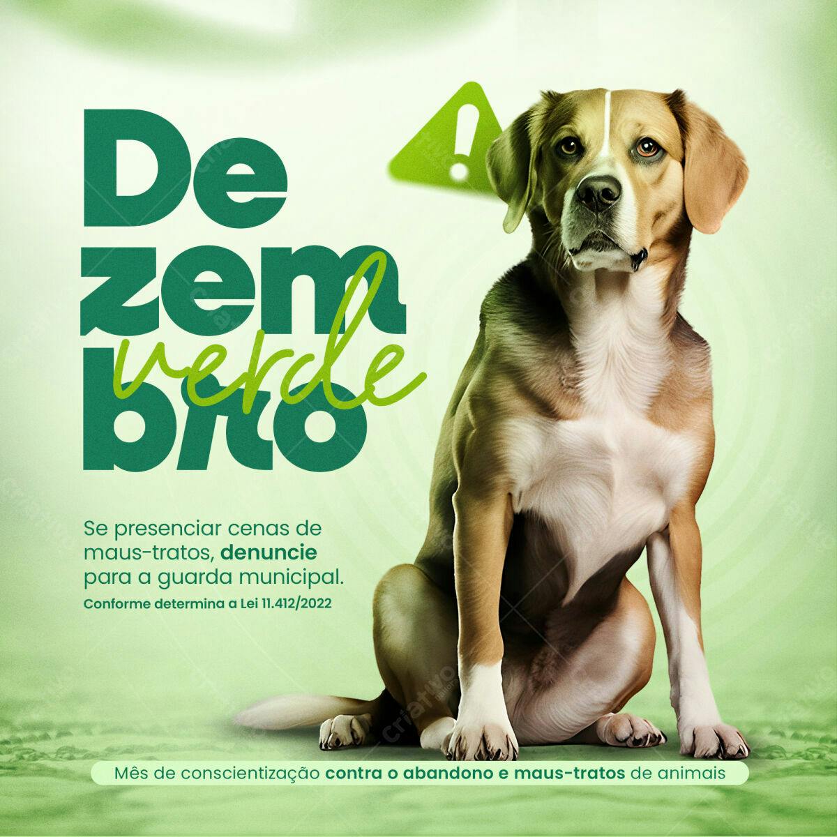 Post para o Mês de Conscientização Animal PSD Editável