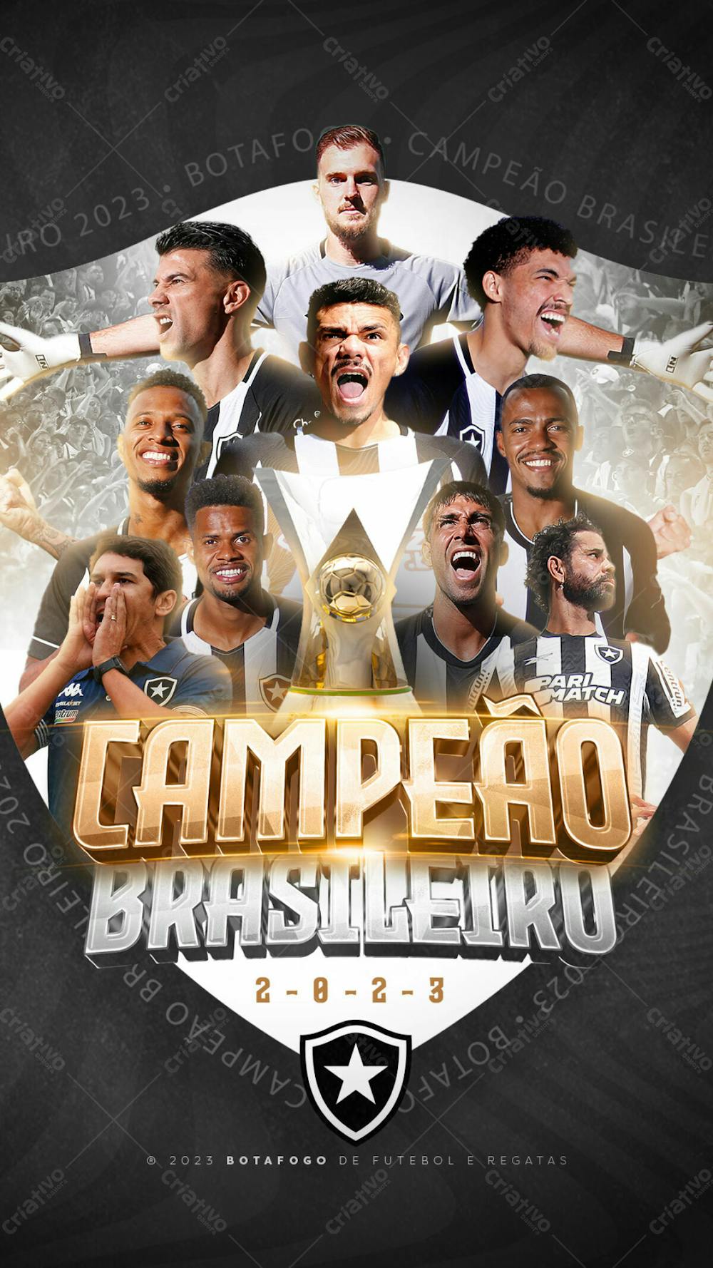 Story   Botafogo Campeão Brasileiro 2023