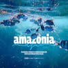 Feed dia da amazônia azul biodiversidade dos mares