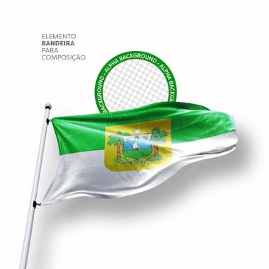 Bandeira rio grande do norte para composição