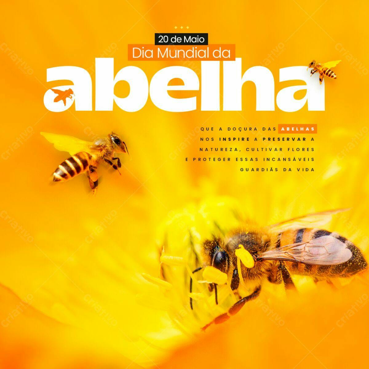 Flyer Dia Mundial da Abelha PSD Editável