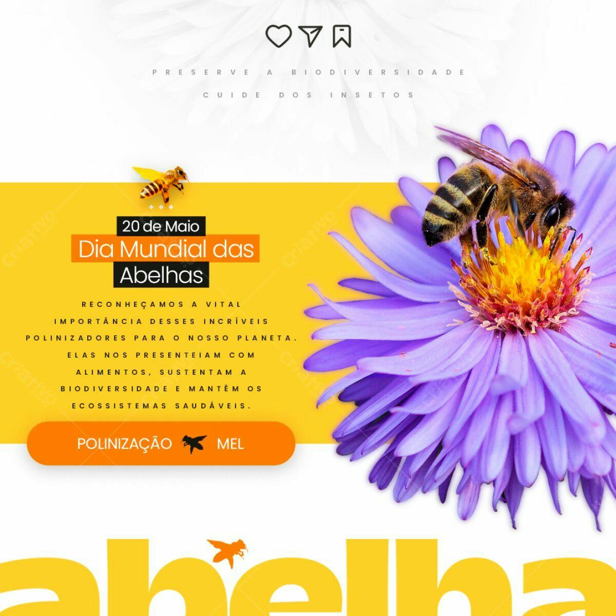 Flyer Dia Mundial das Abelhas PSD Editável