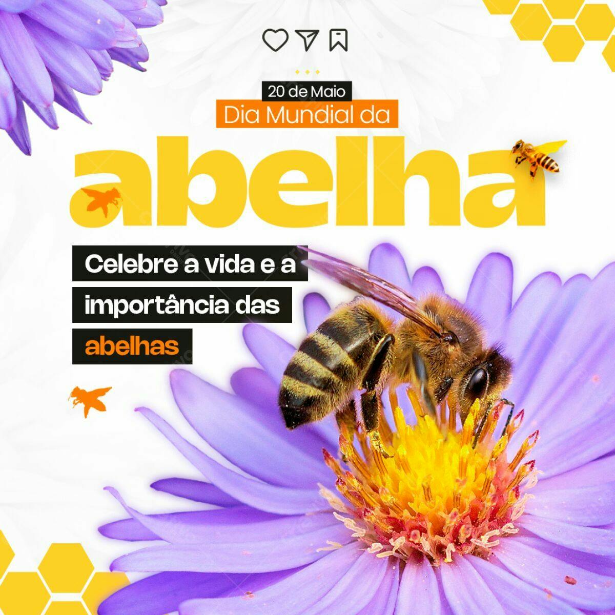 Flyer Dia Mundial da Abelha PSD Editável