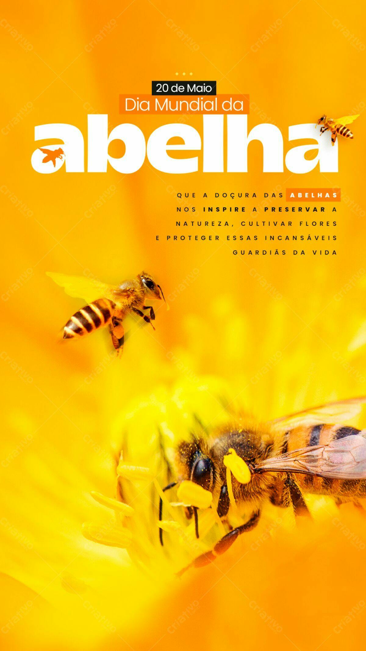 Flyer Dia Mundial das Abelhas PSD Editável