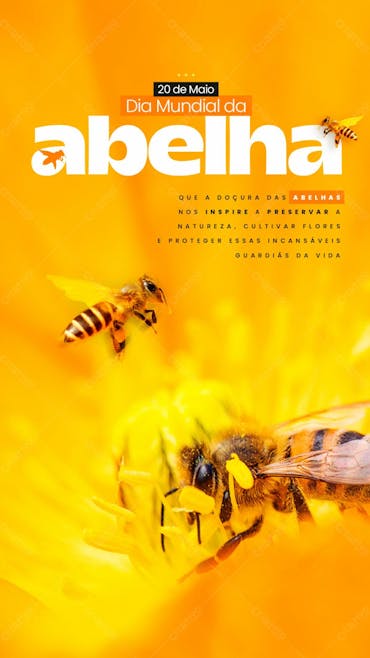 Stories   20 De Maio   Dia Mundial Da Abelha