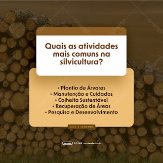 Social media dia nacional da silvicultura atividades mais comuns