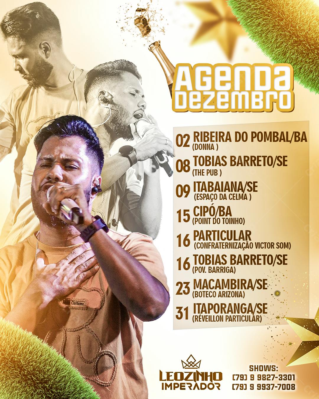 Flyer Agenda de Dezembro com Leozinho Imperador PSD Editável
