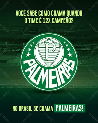 Palmeiras campeão 2023r