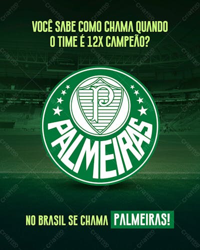 Palmeiras Campeão 2023R