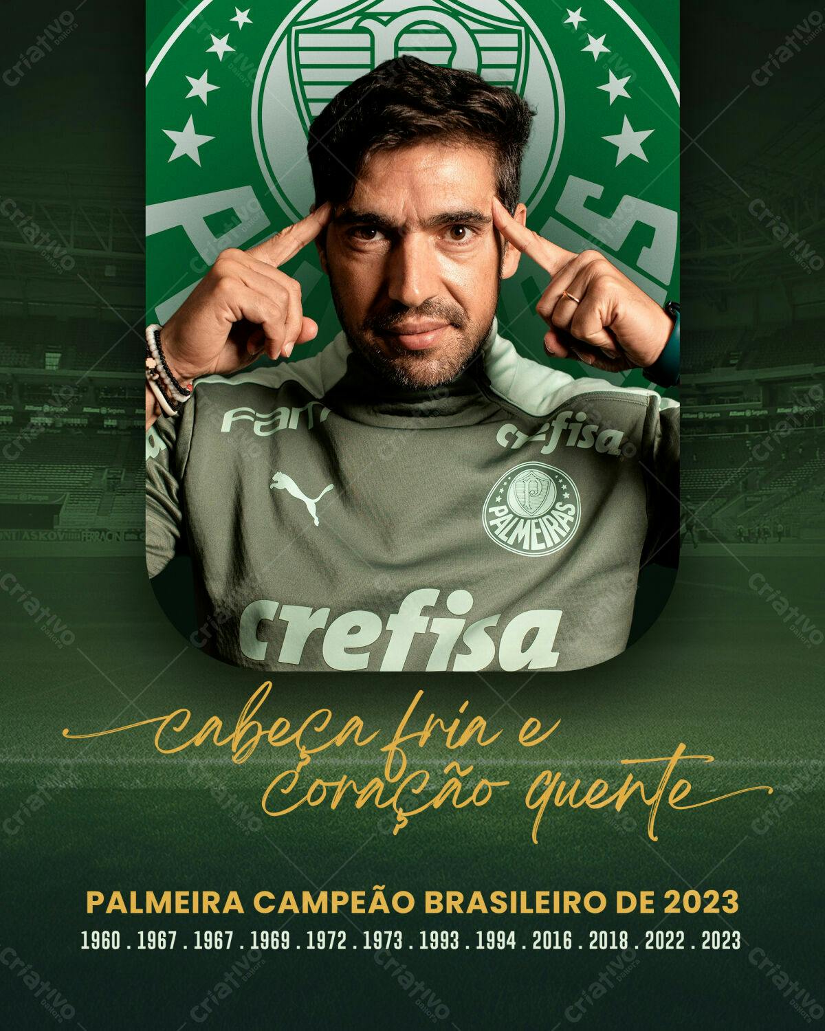 Flyer Palmeiras Campeão Brasileiro PSD Editável