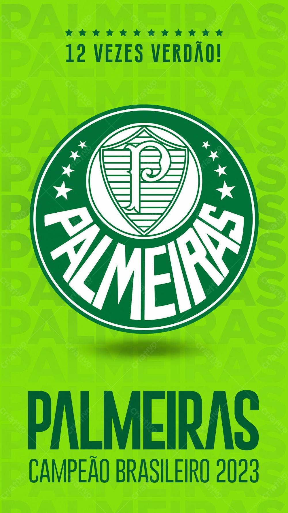 Palmeiras Campeão 2023R 5Y
