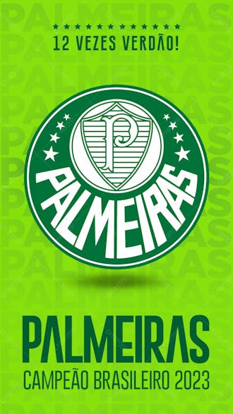 Palmeiras campeão 2023r 5y